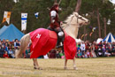 Photo 6782: Joust at Abbey Medieval Tournament 2010