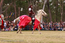 Photo 6788: Joust at Abbey Medieval Tournament 2010