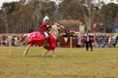 Photo 6038: Joust at Abbey Medieval Tournament 2010