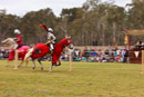 Photo 6043: Joust at Abbey Medieval Tournament 2010