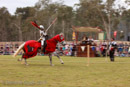 Photo 6044: Joust at Abbey Medieval Tournament 2010