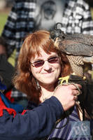 Photo 6270: Birds of Prey at Abbey Medieval Tournament 2012