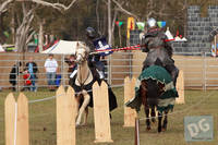 Photo 6417: VIPs and Jousting at Abbey Medieval Tournament 2012