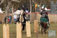 Photo 6418: VIPs and Jousting at Abbey Medieval Tournament 2012