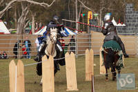 Photo 6419: VIPs and Jousting at Abbey Medieval Tournament 2012