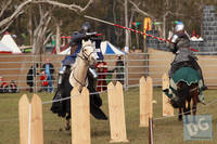 Photo 6420: VIPs and Jousting at Abbey Medieval Tournament 2012