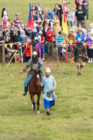 Photo 1971: Horses at Abbey Medieval Tournament 2013