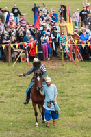 Photo 1972: Horses at Abbey Medieval Tournament 2013