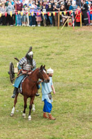 Photo 1973: Horses at Abbey Medieval Tournament 2013