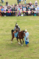 Photo 1974: Horses at Abbey Medieval Tournament 2013