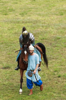 Photo 1975: Horses at Abbey Medieval Tournament 2013