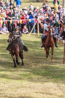 Photo 1996: Horses at Abbey Medieval Tournament 2013