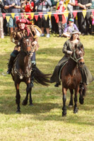 Photo 1997: Horses at Abbey Medieval Tournament 2013