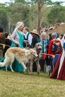 Photo 2020: Knights of the Long Dog at Abbey Medieval Tournament 2013