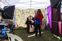 Photo 1149: Public at Abbey Medieval Tournament 2013