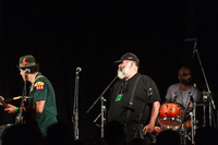 Photo 5302: Nicky Bomba and CMF Allstars at Caloundra Music Festival 2012