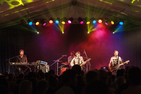 Photo 1530: The Whitlams at Caloundra Music Festival 2012