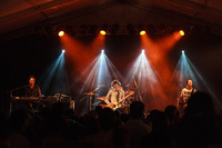 Photo 1543: The Whitlams at Caloundra Music Festival 2012