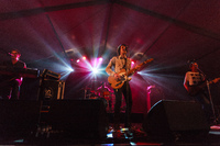 Photo 9656: The Whitlams at Caloundra Music Festival 2012