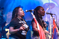 Photo 4411: Blue  King  Brown at Caloundra Music Festival 2013