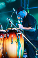 Photo 4413: Blue  King  Brown at Caloundra Music Festival 2013