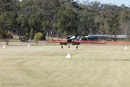 Photo 8787: Aerial Display at Air and Land Spectacular 2011 at Emu Gully