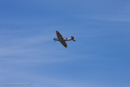 Photo 8797: Aerial Display at Air and Land Spectacular 2011 at Emu Gully
