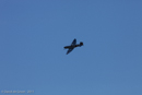 Photo 8806: Aerial Display at Air and Land Spectacular 2011 at Emu Gully