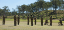 Photo 8816: Cadets at Air and Land Spectacular 2011 at Emu Gully