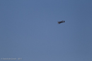 Photo 5820: Miscellaneous Aircraft at Air and Land Spectacular 2011 at Emu Gully