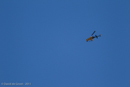 Photo 5848: Miscellaneous Aircraft at Air and Land Spectacular 2011 at Emu Gully