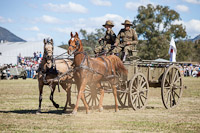 Photo 42220: Charge of Semakh at Air and Land Spectacular - Emu Gully 2012