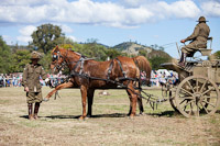 Photo 42240: Charge of Semakh at Air and Land Spectacular - Emu Gully 2012