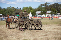 Photo 42250: Charge of Semakh at Air and Land Spectacular - Emu Gully 2012