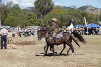Photo 42320: Charge of Semakh at Air and Land Spectacular - Emu Gully 2012
