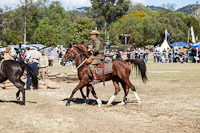 Photo 42370: Charge of Semakh at Air and Land Spectacular - Emu Gully 2012
