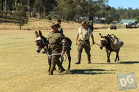 Photo 112: Animals and Rides at Air and Land Spectacular - Emu Gully 2013