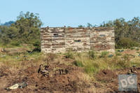 Photo 2: WWI  Trenches at Air and Land Spectacular - Emu Gully 2013