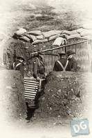 Photo 0: WWI  Trenches at Air and Land Spectacular - Emu Gully 2013