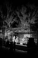 Photo 163: Transvaal Diamond Syndicate at Grotto Fest 2012