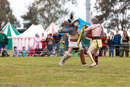 Photo 221: Gladiators at History Alive 2011