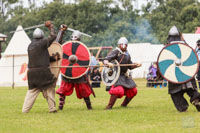 Photo 47: Early Ages at History Alive 2013